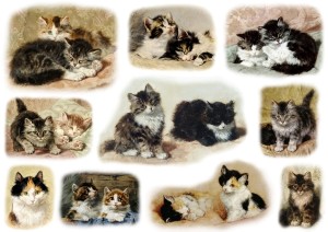 Papier klasyczny A4 do decoupage - koty, kotki