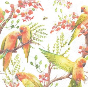 Serwetka decoupage 33x33 cm - ptaki, papugi, kwiaty
