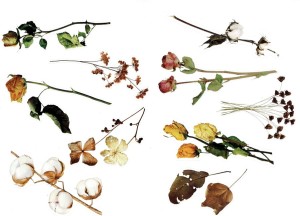 Naklejki foliowe zestaw 10 sztuk - kwiaty, rośliny