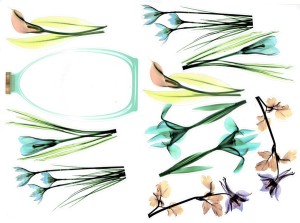 Naklejki foliowe zestaw 10 sztuk - kwiaty 