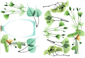 Naklejki foliowe zestaw 10 sztuk - kwiaty