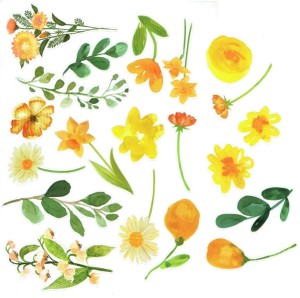 Naklejki foliowe zestaw 20 sztuk - kwiaty i liście 