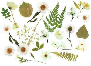 Naklejki foliowe zestaw 40 sztuk - kwiaty i liście