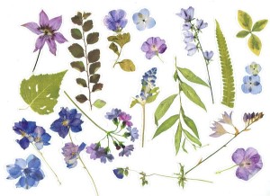 Naklejki foliowe zestaw 40 sztuk - kwiaty i liście