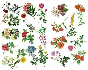 Naklejki foliowe zestaw 40 sztuk - kwiaty