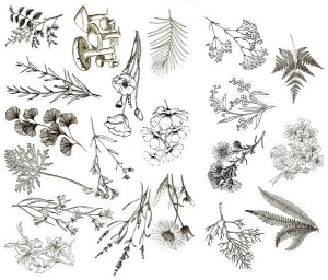 Naklejki foliowe zestaw 40 sztuk - liście, trawy, kwiaty, grzyby