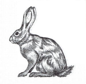 Serwetka decoupage 33x33 cm - zając, zajączek