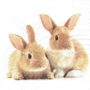 Serwetka decoupage 33x33 cm - zające, zajączki