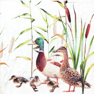 Serwetka decoupage 33x33 cm - kaczki, ptaki