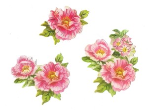 Scrapki papierowe z efektem 3D - kwiaty ogrodowe