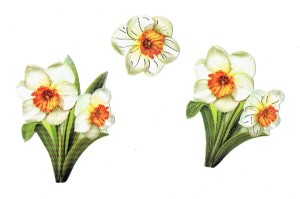 Scrapki papierowe z efektem 3D - kwiaty ogrodowe