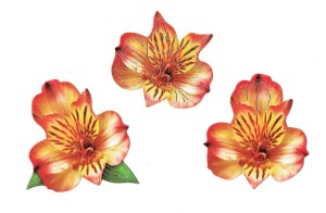 Scrapki papierowe z efektem 3D - kwiaty ogrodowe