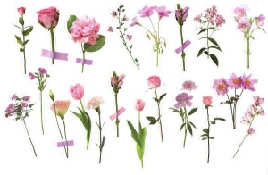 Naklejki foliowe zestaw 40 sztuk - kwiaty polne