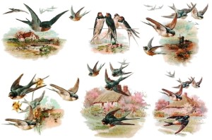 Papier ryżowy A4 do decoupage A - ptaki, ptaszki