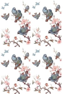 Papier ryżowy A4 do decoupage A - ptaki, ptaszki