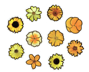 Naklejki foliowe zestaw 30 sztuk - kwiaty 