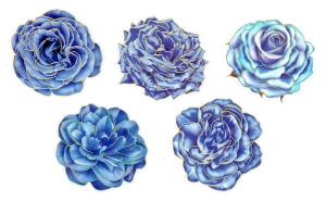 Naklejki foliowe zestaw 10 sztuk - kwiaty, róże 