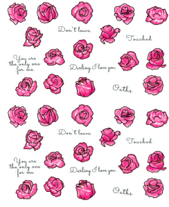 Naklejki foliowe zestaw 40 sztuk - kwiaty, róże, napisy