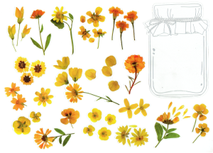 Naklejki foliowe zestaw 40 sztuk - kwiaty + słoik