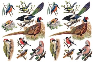 Papier ryżowy A4 do decoupage A - ptaki, ptaszki