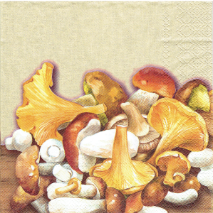 Serwetka decoupage 33x33 cm - grzyby, grzybki