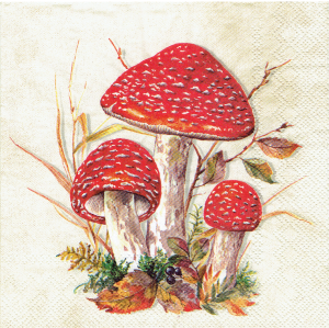 Serwetka decoupage 33x33 cm - grzyby, grzybki, muchomory