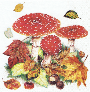Serwetka decoupage 33x33 cm - grzyby, grzybki, muchomory
