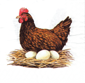 Serwetka decoupage 33x33 cm - kura, gniazdo, jajka
