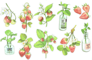 Naklejki foliowe zestaw 10 sztuk - kwiaty, liście, owoce, truskawki