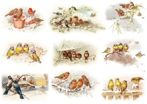 Papier ryżowy A4 do decoupage A - ptaki, ptaszki, zima