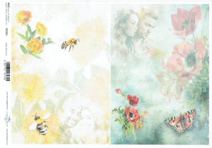 Papier ryżowy A4 ITD do decoupage - kwiaty, motyle, para 