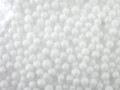IMGP5760.JPG