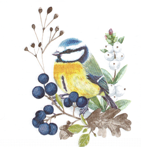 Serwetka decoupage 33x33 cm - ptak, ptaszek, jagody
