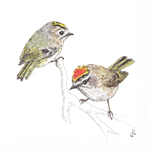 Serwetka decoupage 33x33 cm - ptaki, ptaszki, Regulusy