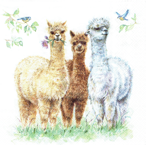 Serwetka decoupage 33x33 cm - zwierzęta, alpaki
