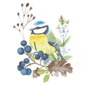 Serwetka decoupage mała 25x25cm - ptak, ptaszek, jagody