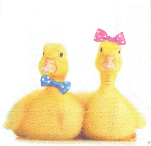 Serwetka decoupage mała 25x25cm - kaczki, ptaki