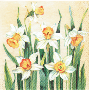 Serwetka decoupage mała 25x25cm -kwiaty, narcyzy, żonkile