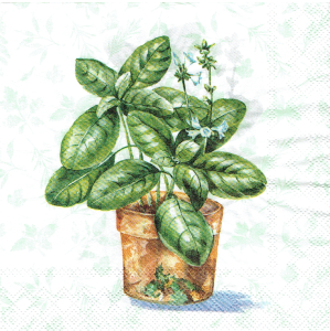 Serwetka decoupage mała 25x25cm - zioła, rośliny w donicach