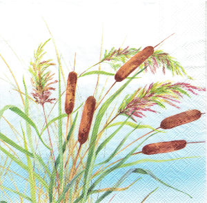 Serwetka decoupage 33x33 cm - trzcina, pałki, trawy