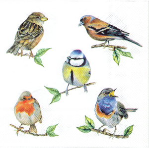 Serwetka decoupage 33x33 cm - ptaki, ptaszki