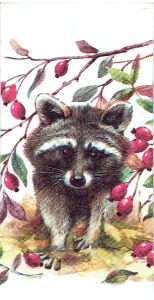 Chusteczka do decoupage - szop pracz, głóg