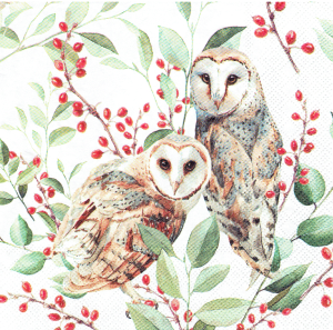 Serwetka decoupage 33x33 cm - ptaki, sowy, sówki