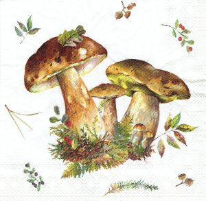 Serwetka decoupage mała 25x25cm - grzyby, grzybki