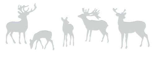 523 białe perłowe.png