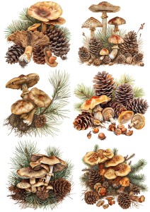 Papier ryżowy A4 do decoupage Artando  - grzyby, grzybki, szyszki