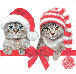 Serwetka decoupage 33x33 cm - koty, kotki, święta