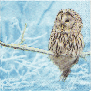 Serwetka decoupage 33x33 cm - sowa, sówka, ptak, zima