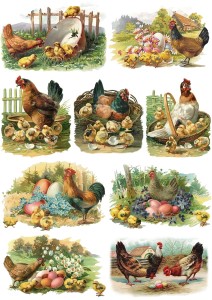 Papier klasyczny A4 do decoupage - Wielkanoc , kury, koguty, kurczaki, kwiaty