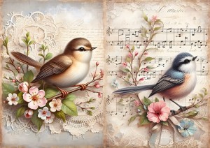Papier ryżowy A4 do decoupage Artando  - ptaki, kwiaty, koronka, nuty, napisy
